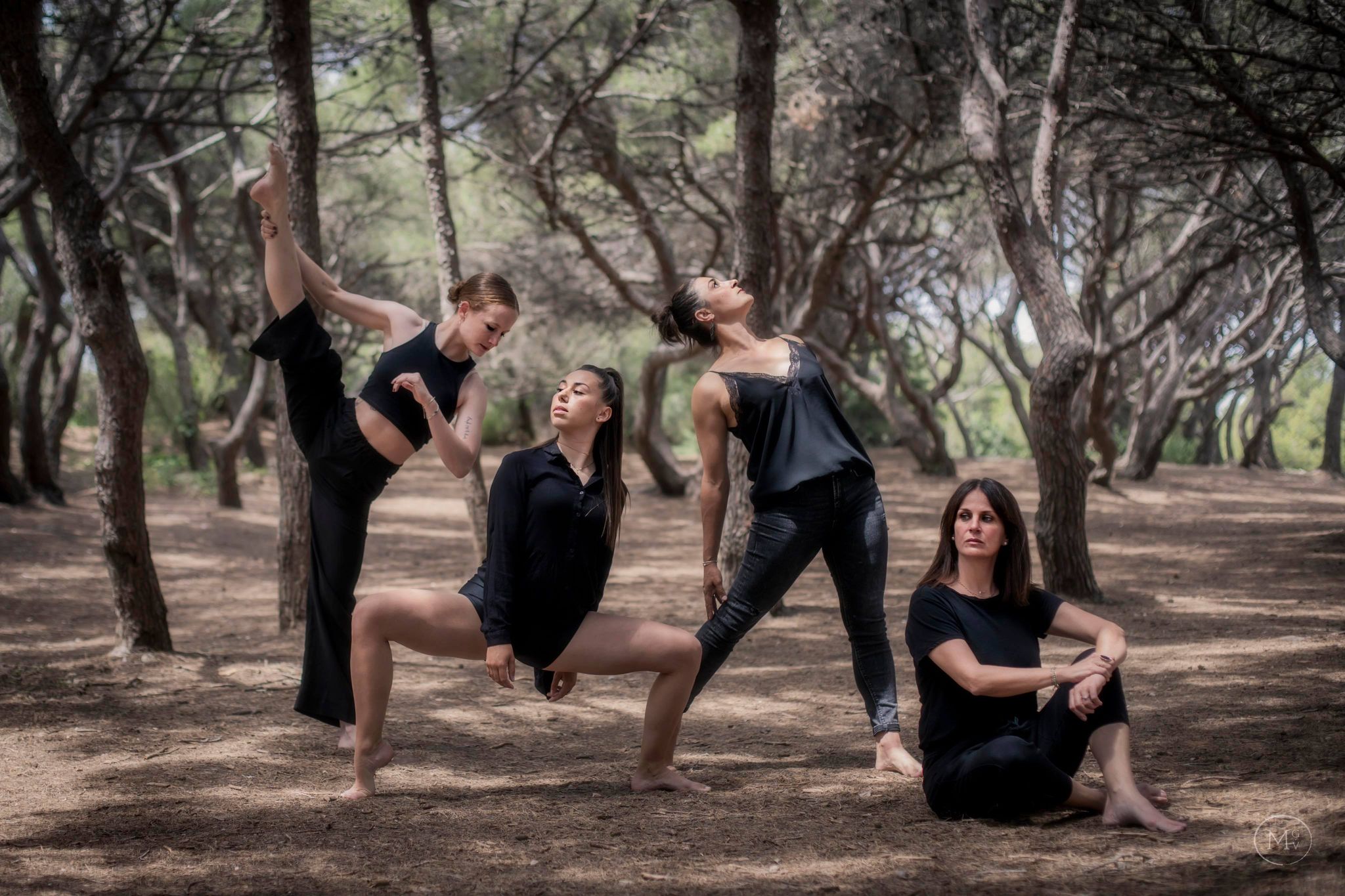 les professeurs de l'école de danse carla raiess à ollioules les professeurs de l'école de danse carla raiess à ollioules
